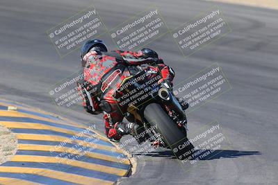 media/Nov-12-2023-SoCal Trackdays (Sun) [[5d1fba4e7d]]/Turn 10 Backside (115pm)/